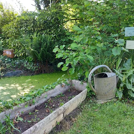 Des Faisans Σπίτι διακοπών