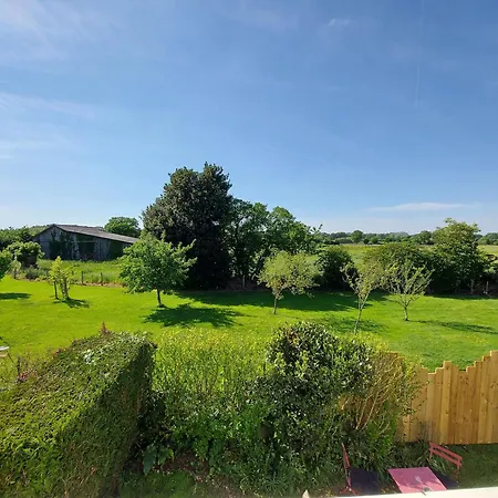 Des Faisans Courbeveille