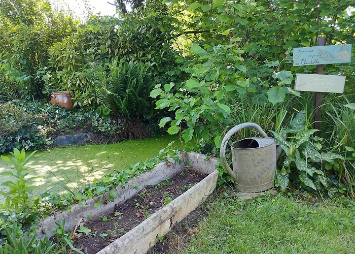 Des Faisans Дом отдыха