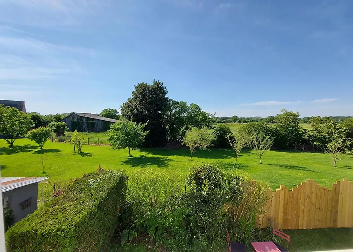 Des Faisans Courbeveille