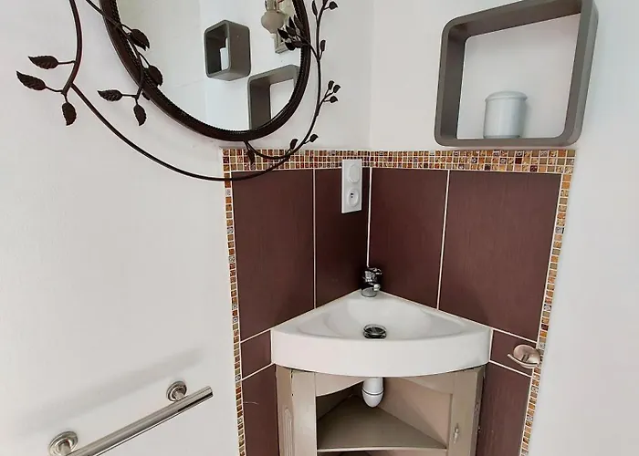 Des Faisans * Courbeveille